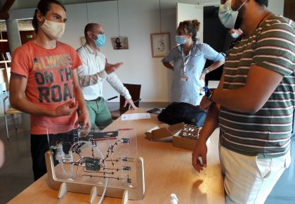 Échanges entre la Provence Numérique et le Naturoptère